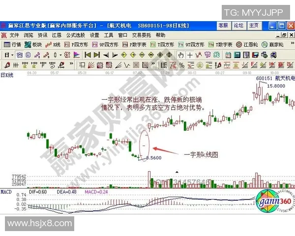 深入分析杭州排球队反击战术的独特魅力与实战应用